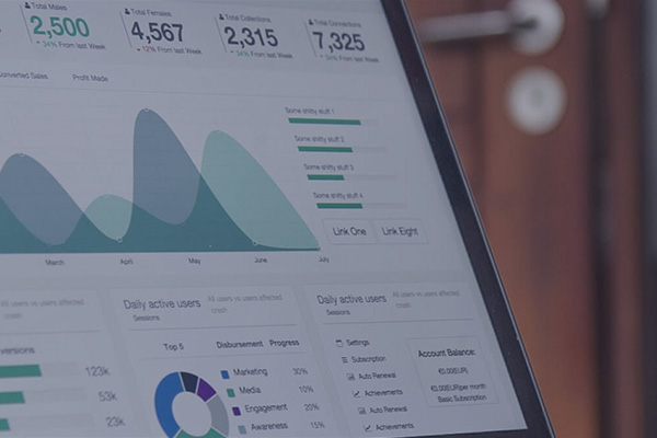 FINANCIAL PROJECTIONS